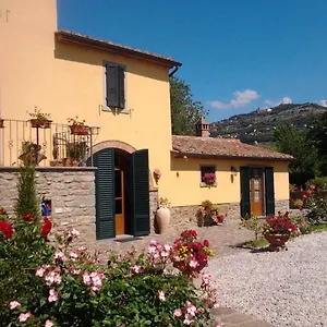 San Marco Cortona