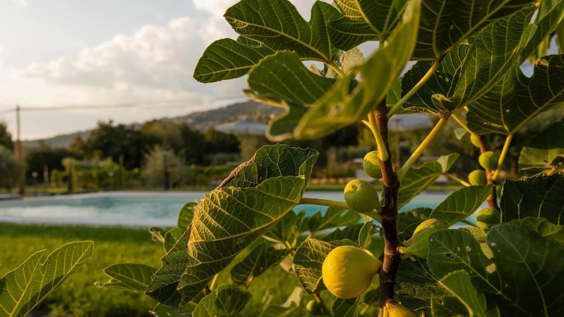 Villa Villetta San Marco Cortona